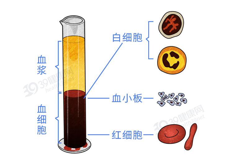 为什么一到医院就要抽血?为你揭秘:抽出来的血,最终去了哪儿