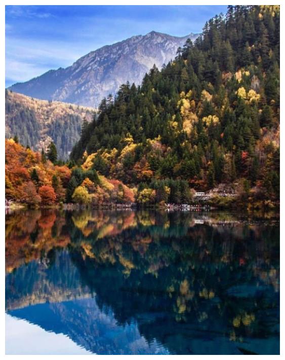 秋天的九寨你见过吗?随手一拍就是壁纸休闲区蓝鸢梦想 - Www.slyday.coM 秋天的九寨你见过吗?随手一拍就是壁纸休闲区蓝鸢梦想 - Www.slyday.coM