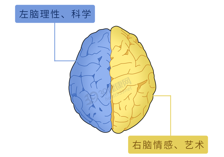 女生是如何靠第六感,发现男朋友出轨的?最科学的解释来了休闲区蓝鸢梦想 - Www.slyday.coM 女生是如何靠第六感,发现男朋友出轨的?最科学的解释来了休闲区蓝鸢梦想 - Www.slyday.coM
