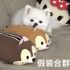 表情包|给我叉出去!|表情包|资讯_新浪新闻