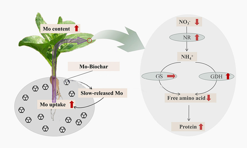 你觉得职场中被排斥和被同化哪个更可怕?