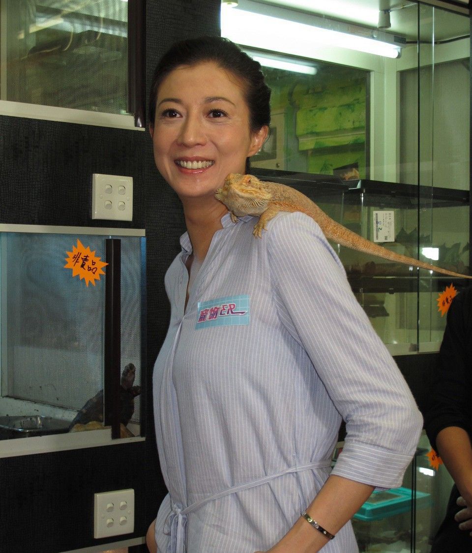 女神吴绮莉照片,你们喜欢哪一个呢?_高清图集_新浪网