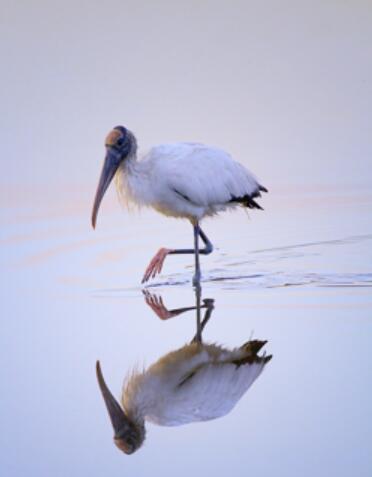 水中倒影如何拍摄看看这几个技巧就会了非常简单