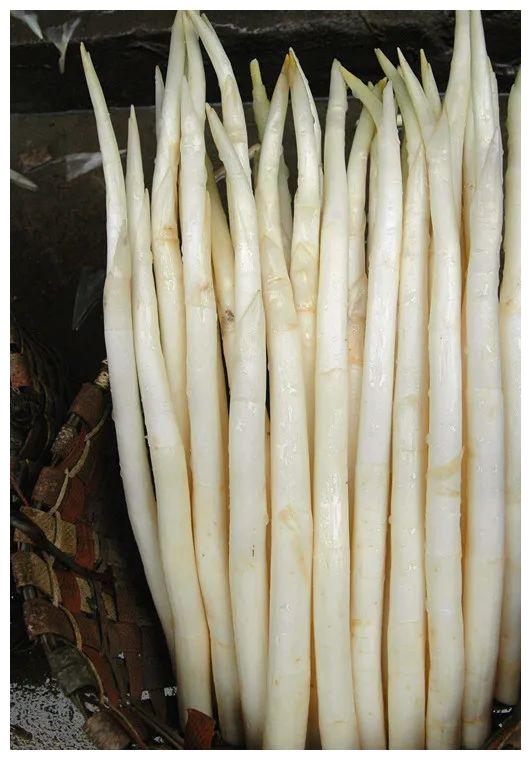 临安美食|尝一口草芽,把建水吃进嘴里