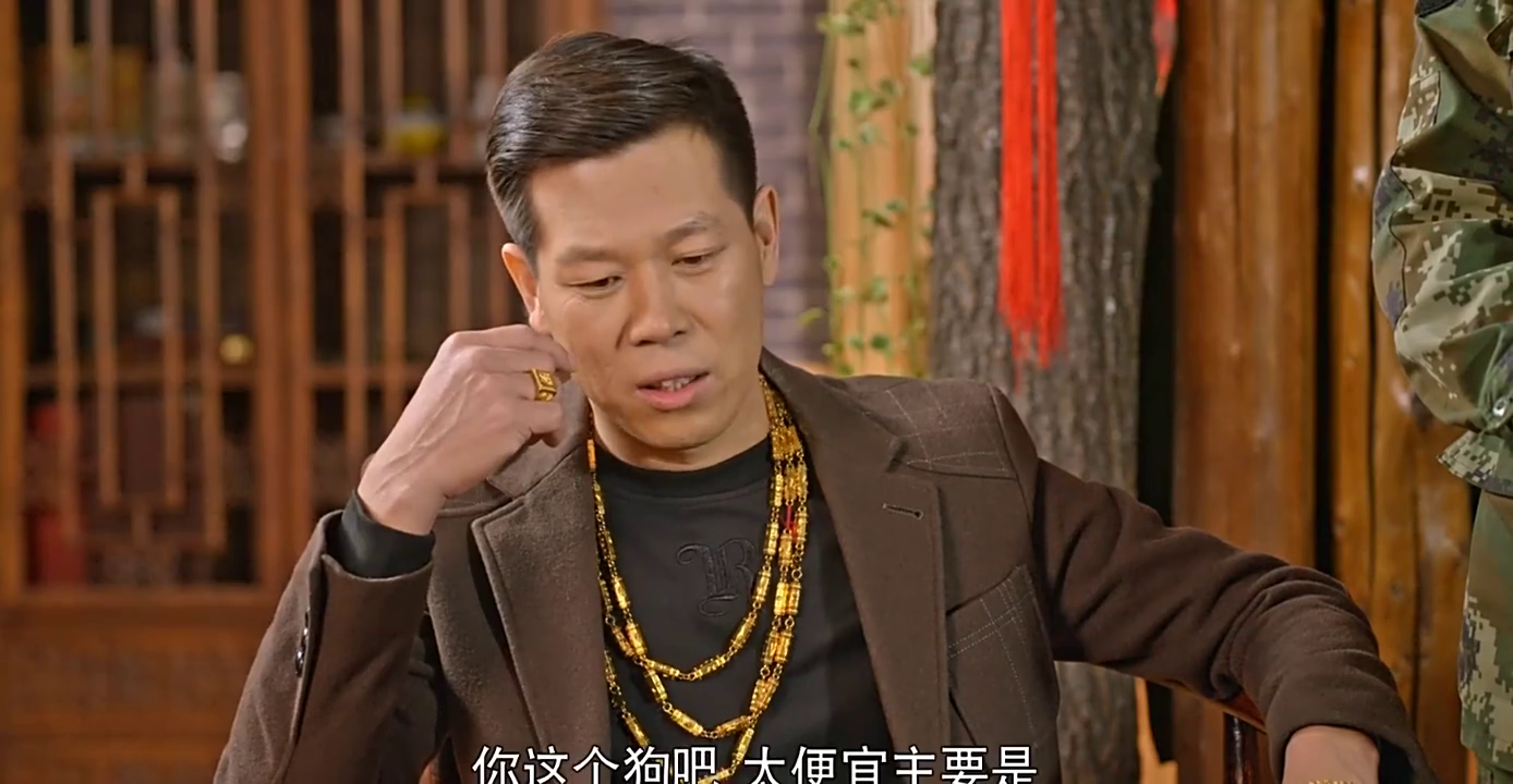 闪电哥给大拿说自己养虎,老李又来找徐书记