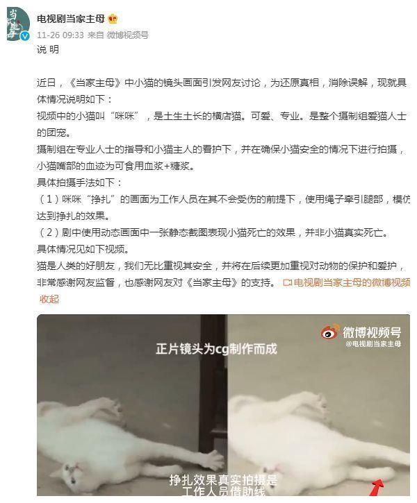 《当家主母》风波升级？群演爆料猫已过世，电击致死当天就埋了休闲区蓝鸢梦想 - Www.slyday.coM