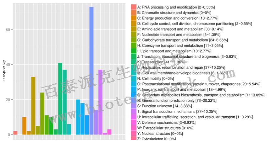 COG数据库最主要目的