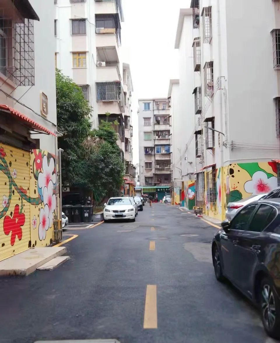 节前的几天,花都培英街小区,新华教师村,通安巷小区等微改造再升级