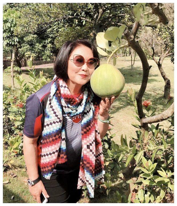 4月发文:69岁"香港公主"李司棋近况曝光,享受自在人生