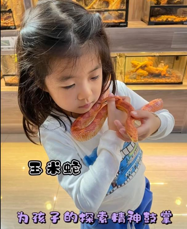 章子怡女儿胆子大与蛇亲密接触表情好奇网友娘俩都是女汉子