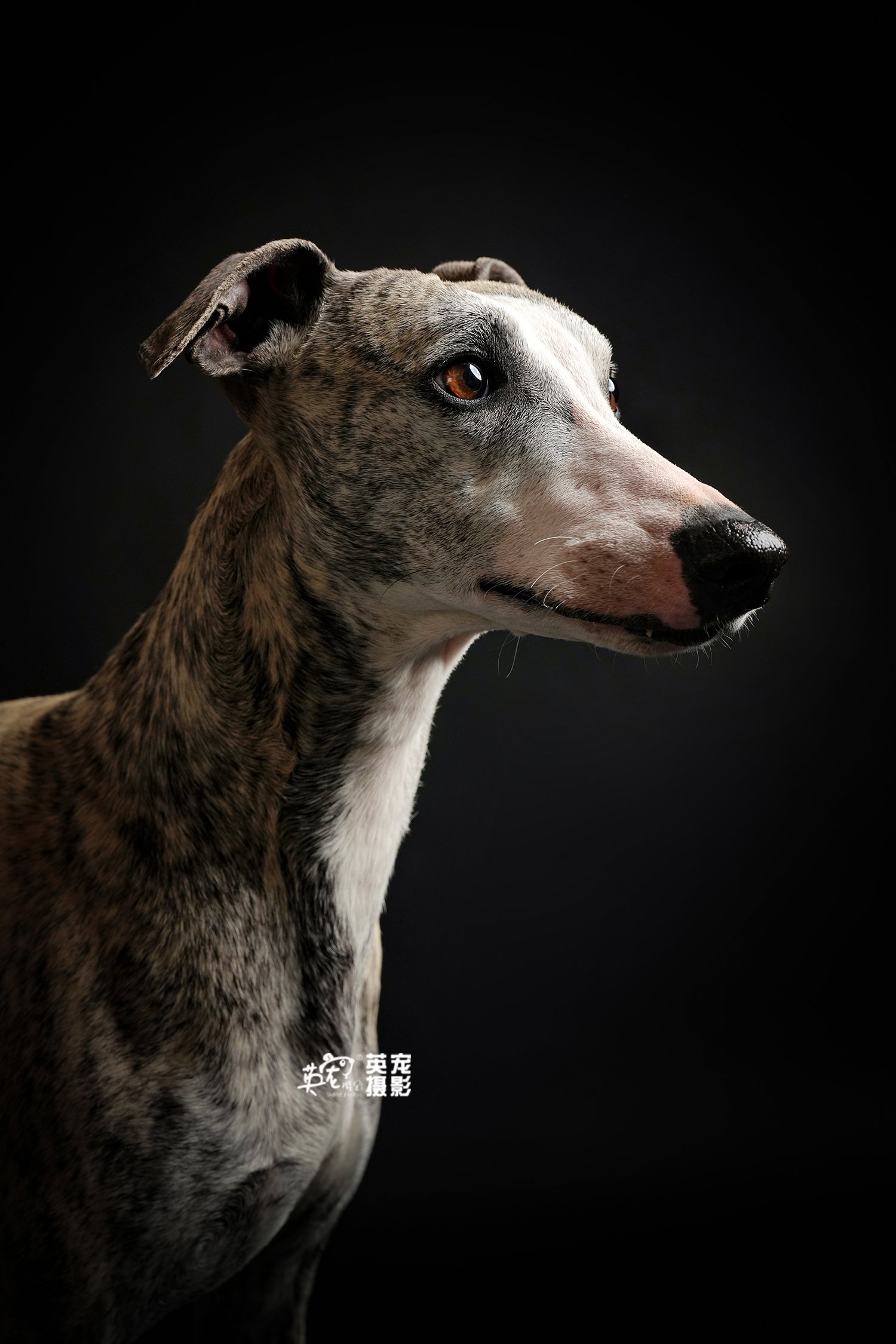 小眼睛～
亮亮哒