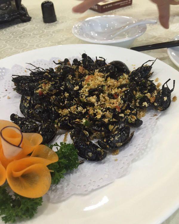 名字叫水蟑螂广东人的舌尖美味你敢吃吗