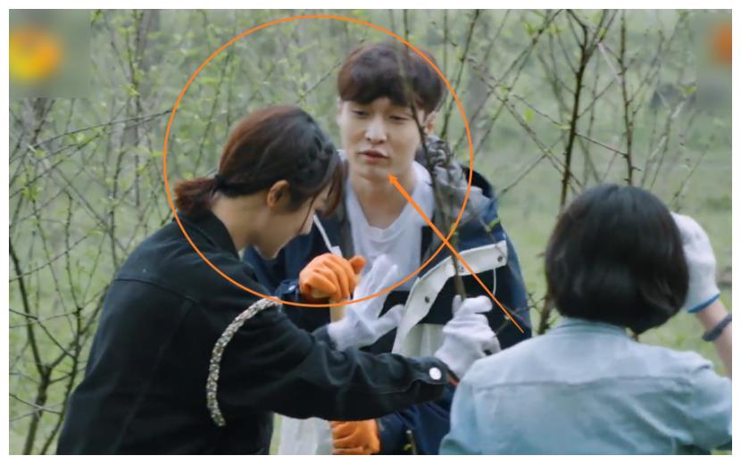 杨紫扶着树苗偷笑,有谁注意张艺兴看她的眼神?