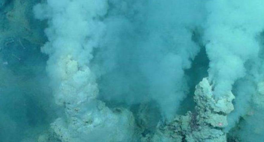 大西洋|虾|海底_新浪新闻