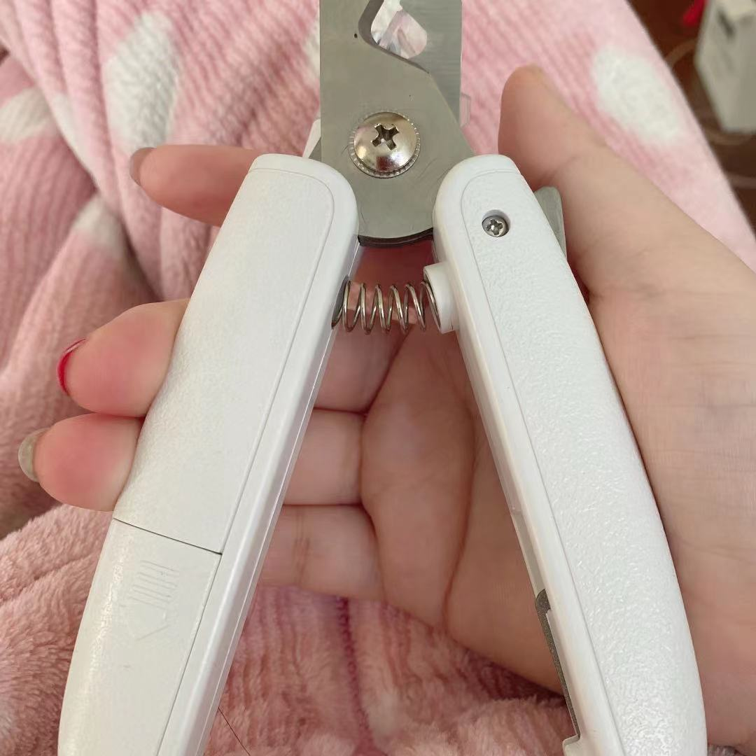 10.17园园日记:第一次给猫剪指甲,带着狗哥看比赛遇到的那点事休闲区蓝鸢梦想 - Www.slyday.coM 10.17园园日记:第一次给猫剪指甲,带着狗哥看比赛遇到的那点事休闲区蓝鸢梦想 - Www.slyday.coM