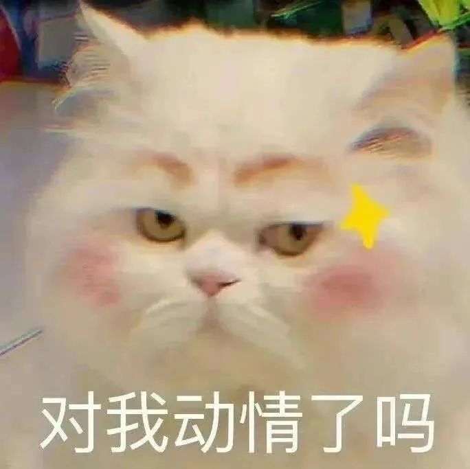 《喜欢你我也是3》上演大型修罗场,三角关系“火药味”十足!休闲区蓝鸢梦想 - Www.slyday.coM 《喜欢你我也是3》上演大型修罗场,三角关系“火药味”十足!休闲区蓝鸢梦想 - Www.slyday.coM