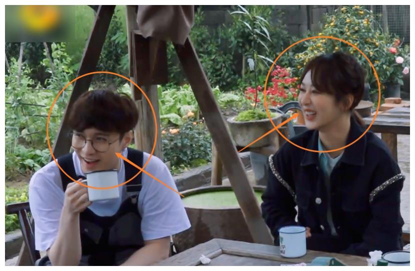 杨紫扶着树苗偷笑,有谁注意张艺兴看她的眼神?