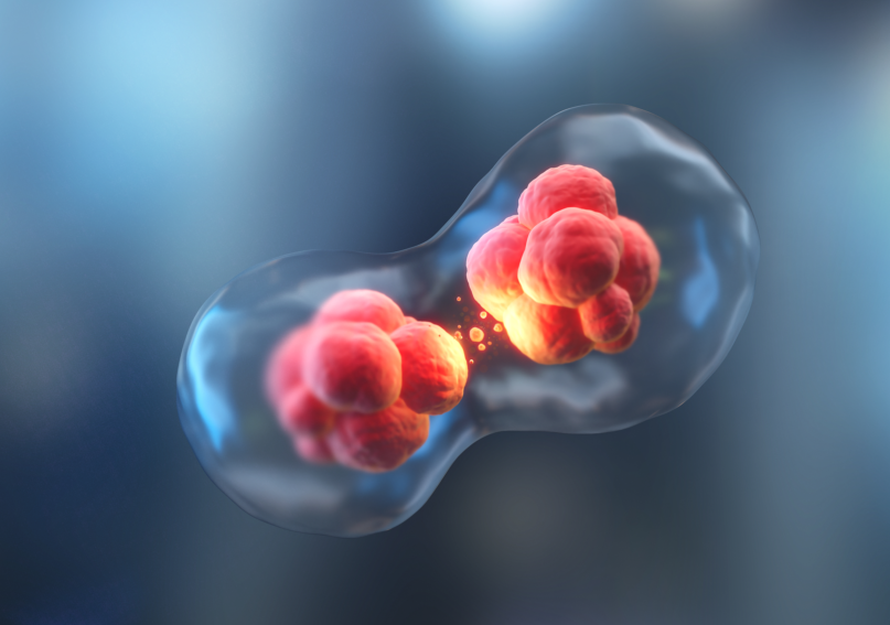 文献及案例佐证胎盘干细胞有潜力治疗家庭成员的疾病