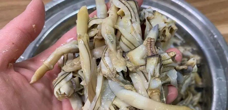 如果蛏子打开着的,可以用手轻轻碰一下,看会不会合上,会的话就是活的