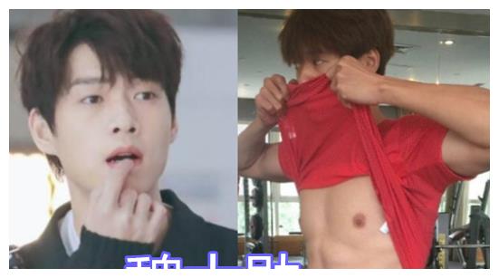 邓伦的腹肌王一博的腹肌看到魏大勋腹肌后藏得够深