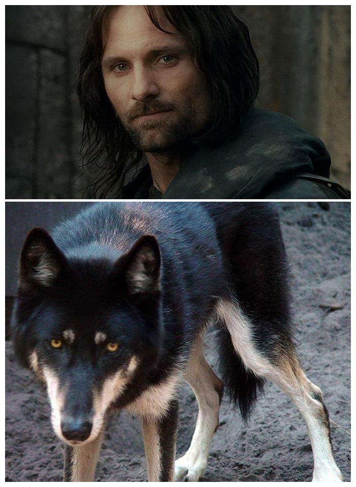 佛罗多·巴金斯12.法拉米尔13.阿文14.异常15.精灵16.