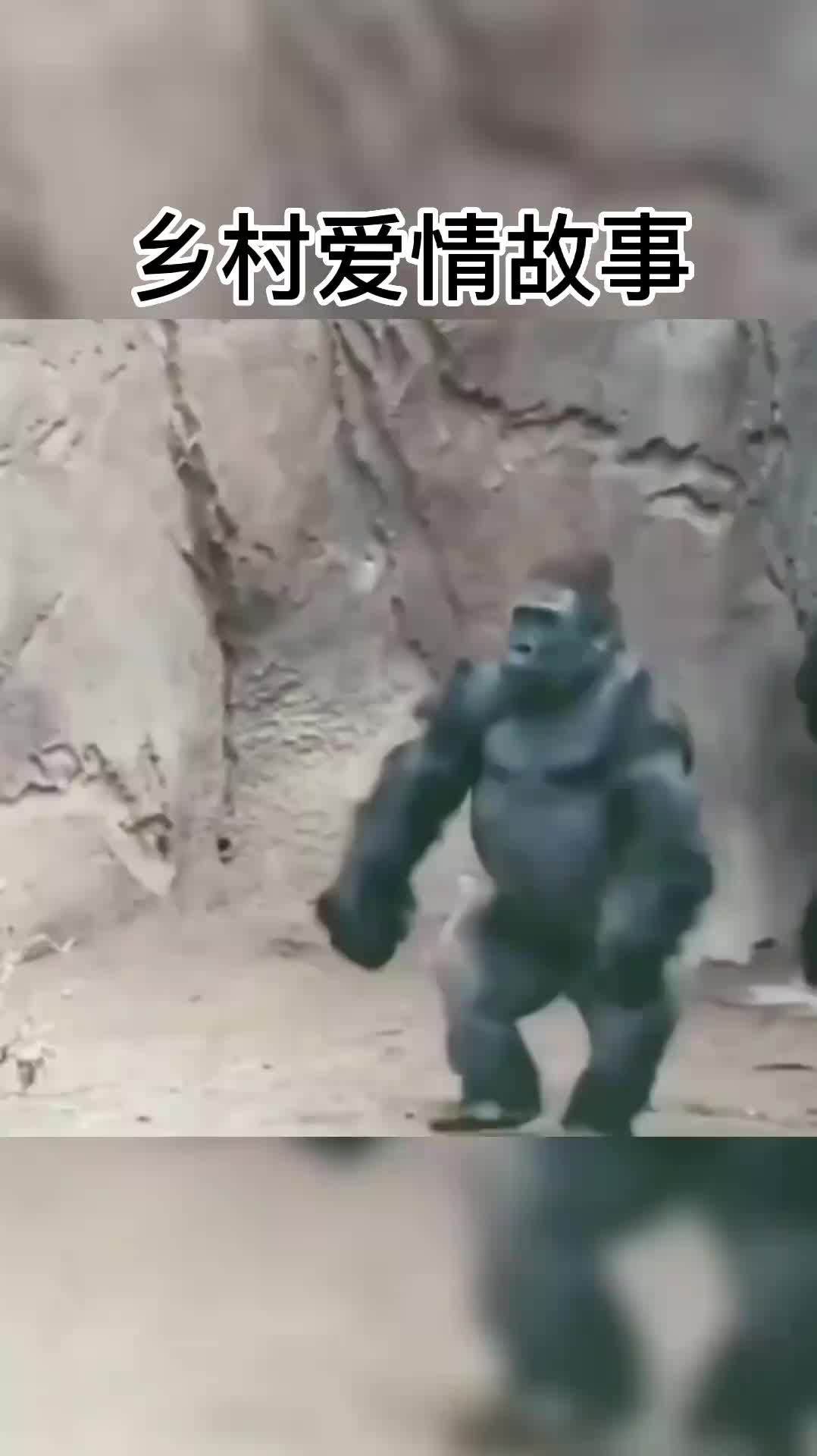 动物版乡村爱情，分别饰演什么角色？你来瞧瞧！