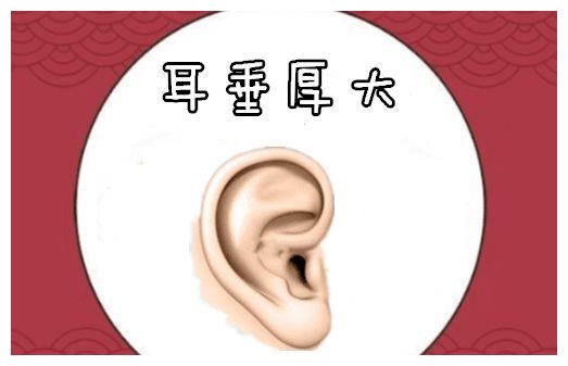 男人有耳垂好吗?耳垂越大福越厚?|耳垂|耳朵|命相_新浪新闻