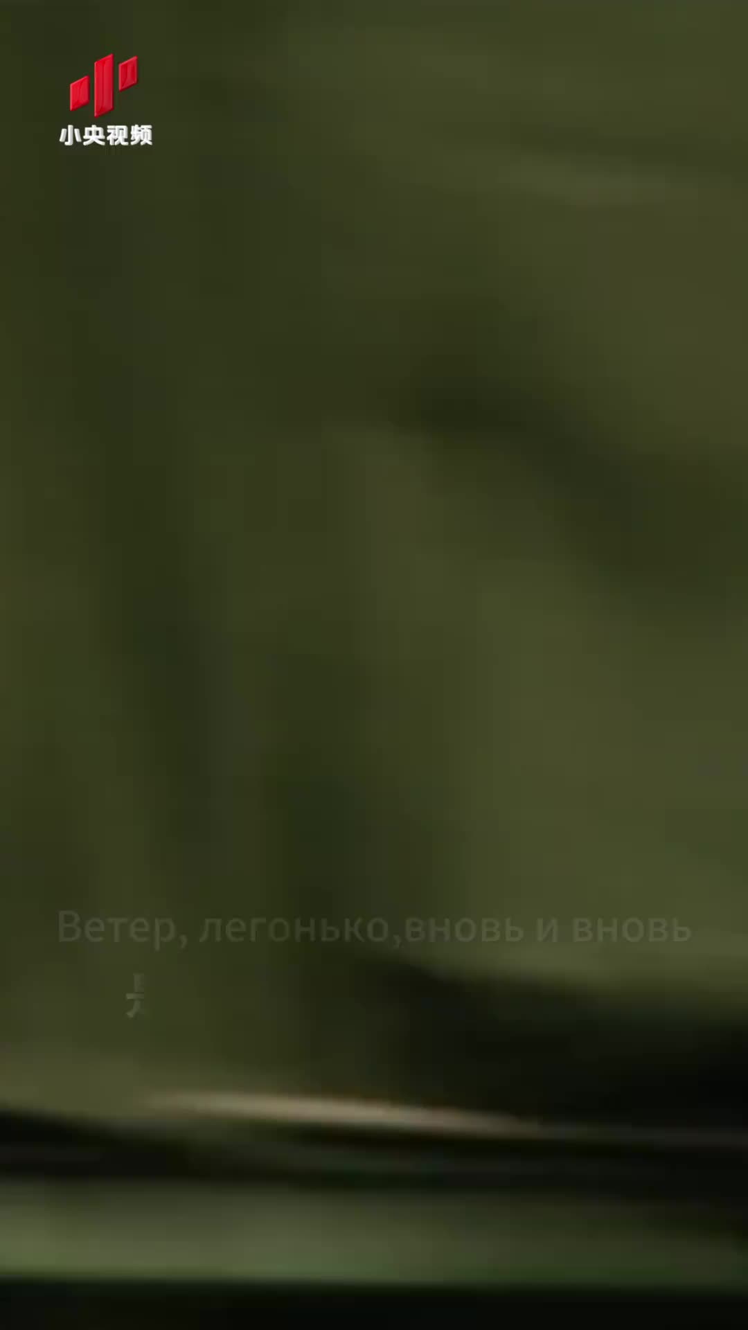 缅怀先烈，致敬英雄！周深中俄双语唱《归来》！