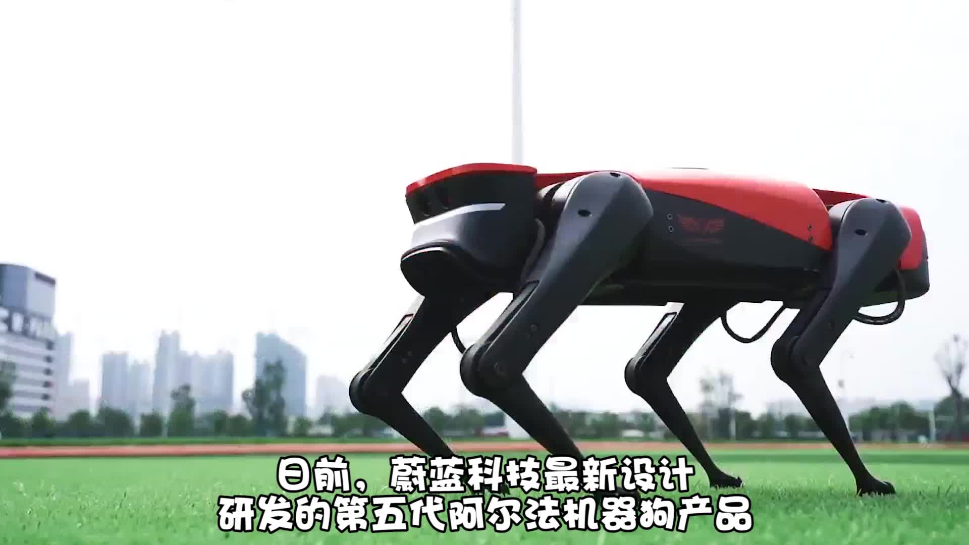 跑出407米秒蔚蓝科技机器狗运动性能再突破
