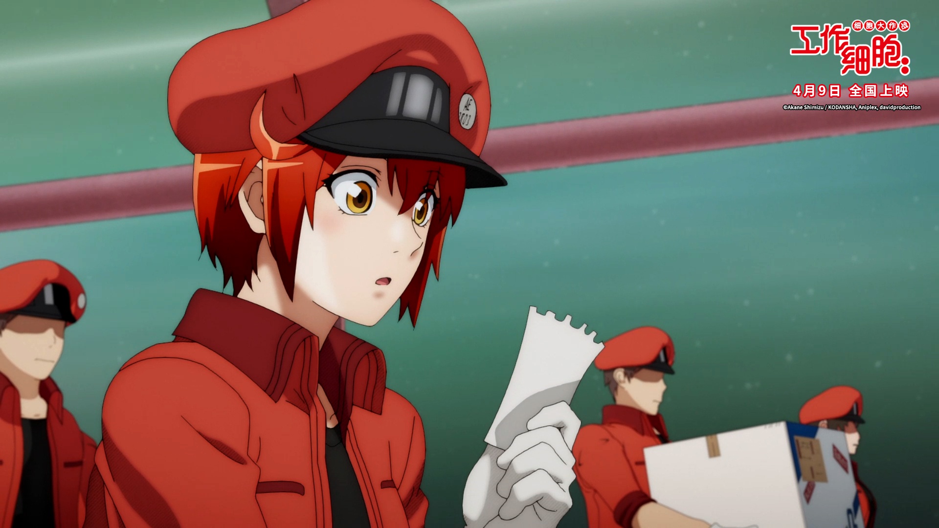 电影版《工作细胞》定档4月9日 高萌上演身体保卫战