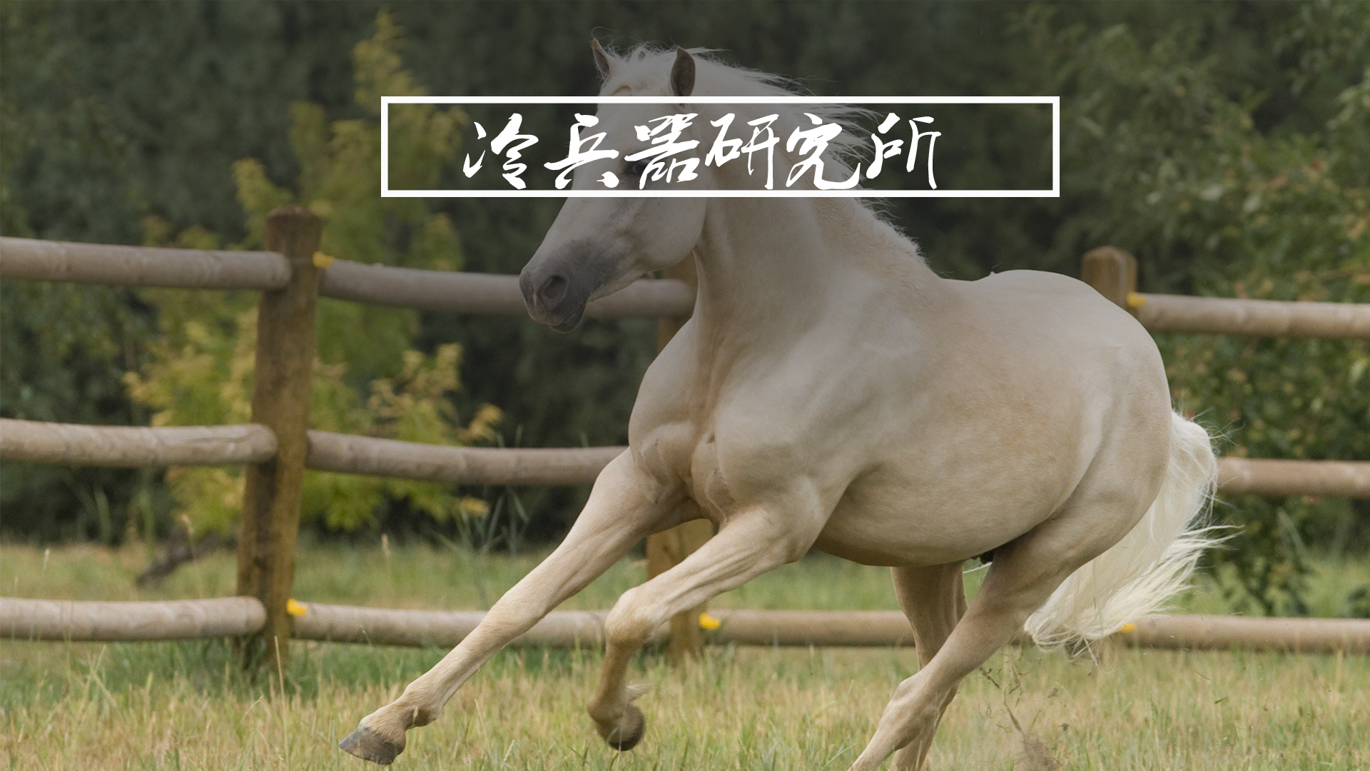 同样农耕 为何中原一直缺马 欧洲却以骑士闻名 同样农耕 为何中原一直缺马 欧洲却以骑士闻名