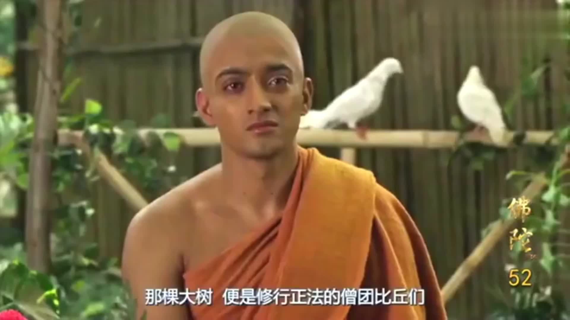 印度佛陀:舍利佛涅盘后,释迦牟尼佛讲生死如影随行,聚合终会离散