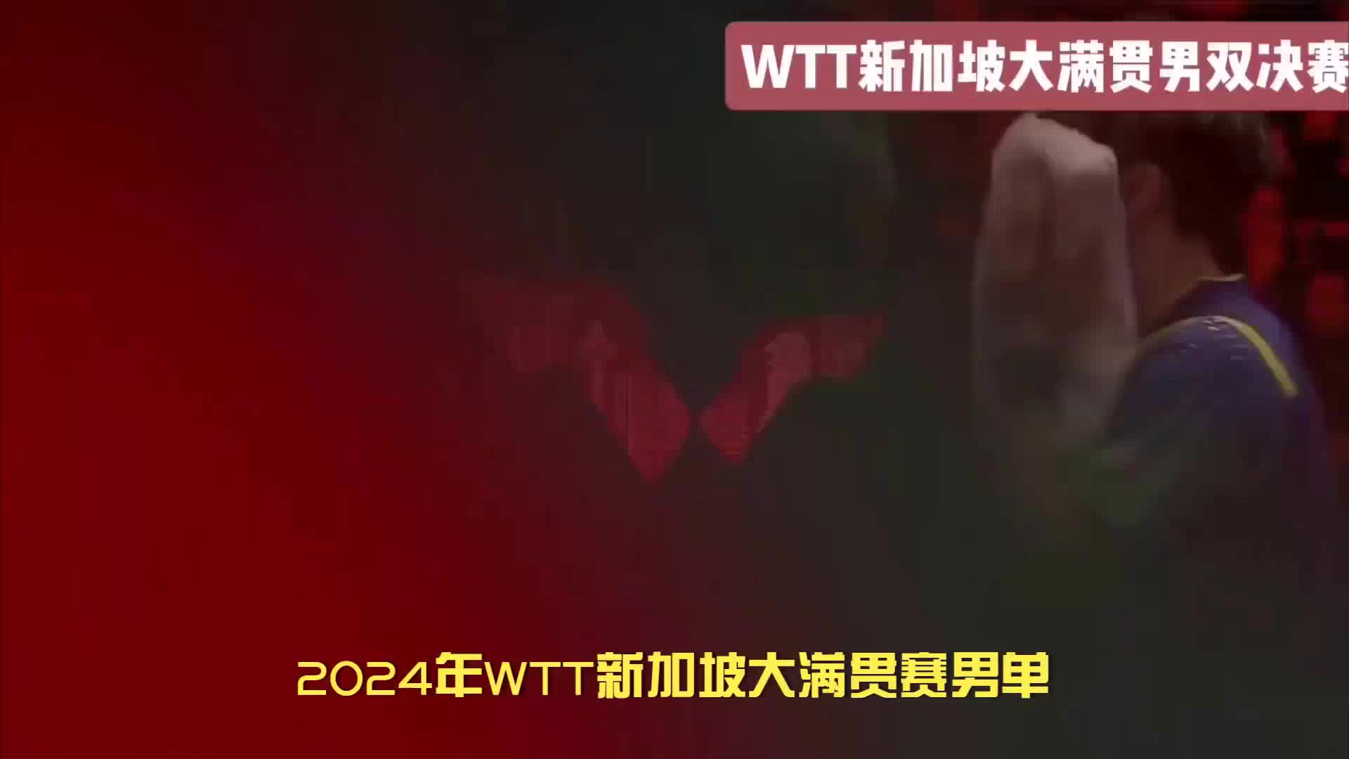 林诗栋点评，露原因，樊振东输球，引争议！