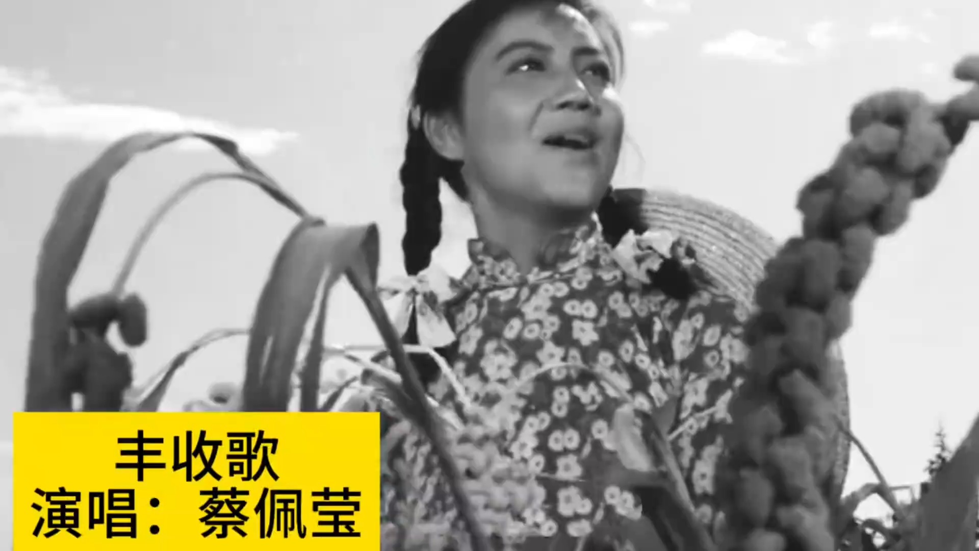 60年代经典红歌《丰收歌》，蔡佩莹原唱，再忆激情燃烧的岁月