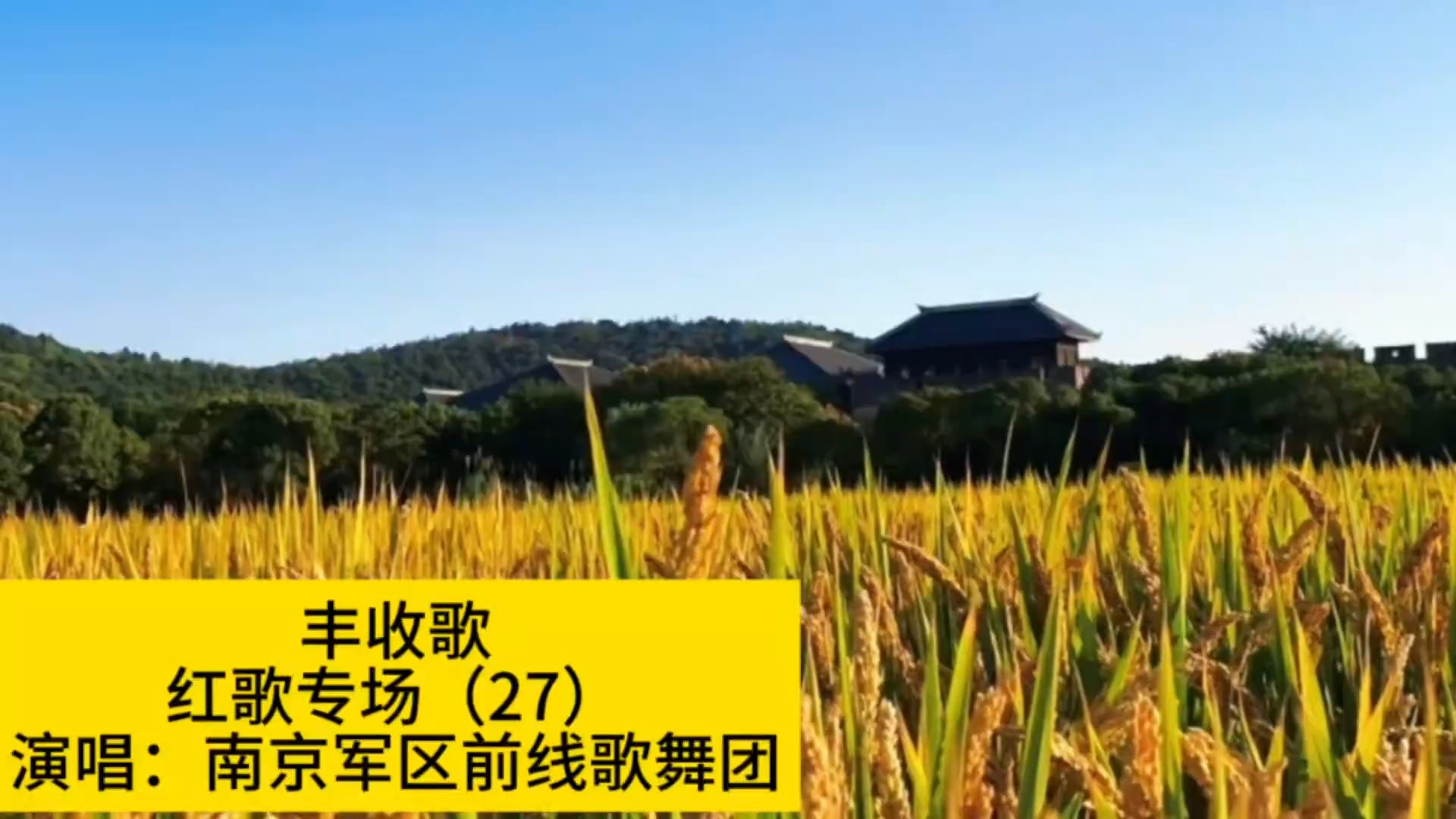 经典红歌《丰收歌》欢快喜悦，再忆激情燃烧的岁月