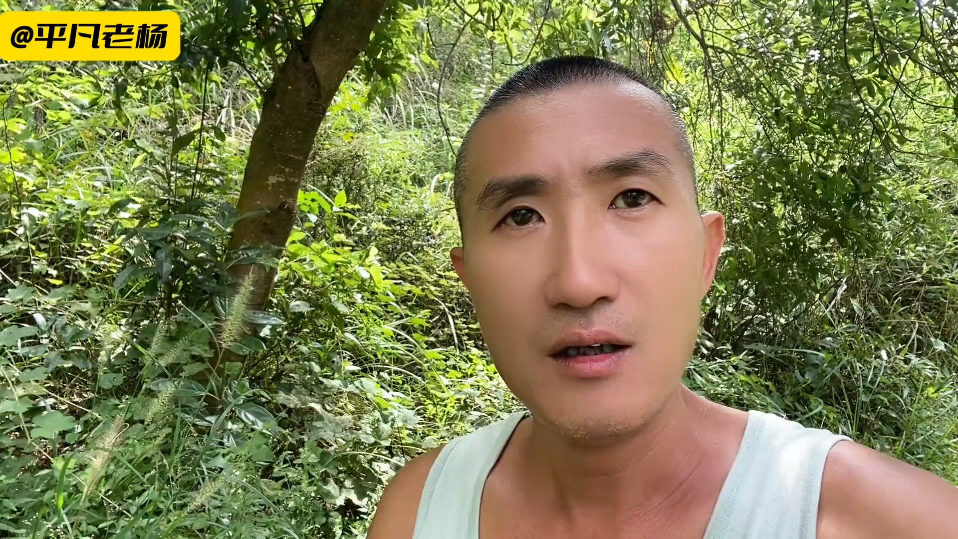 韩红的青藏高原，相比李娜，少了三样东西，这样说似乎比不上李娜