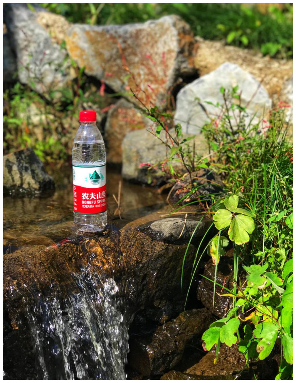 农夫山泉寻源之旅探寻长白山最美工厂亲子体验活动