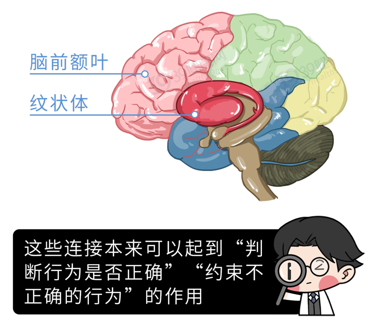 如果你有女儿,请一定要告诉她:遇到这3种男朋友,再爱也别嫁休闲区蓝鸢梦想 - Www.slyday.coM 如果你有女儿,请一定要告诉她:遇到这3种男朋友,再爱也别嫁休闲区蓝鸢梦想 - Www.slyday.coM