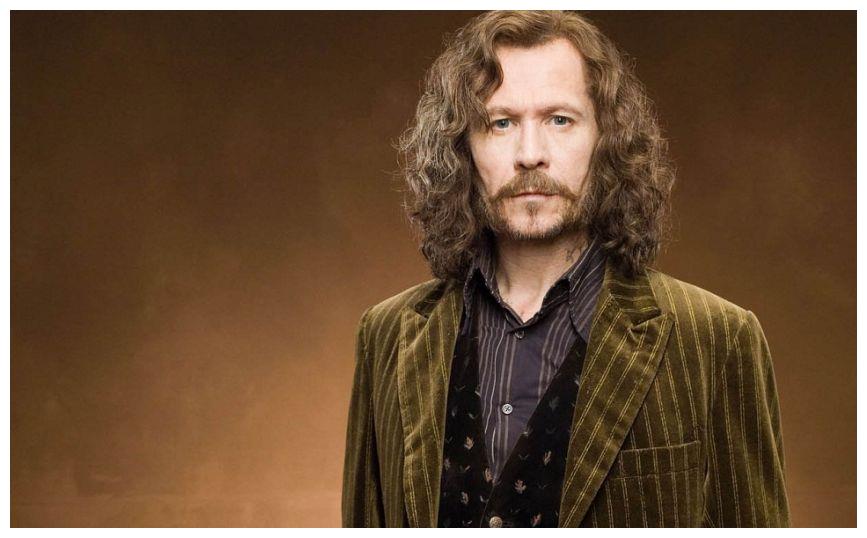 藏龙卧虎的哈利波特你还记得电影中的这些配角演员吗