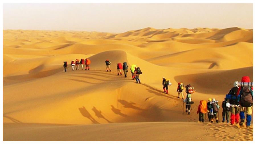 内蒙古出现奇迹?大片沙漠引入黄河水后,令人称奇的事情发生了