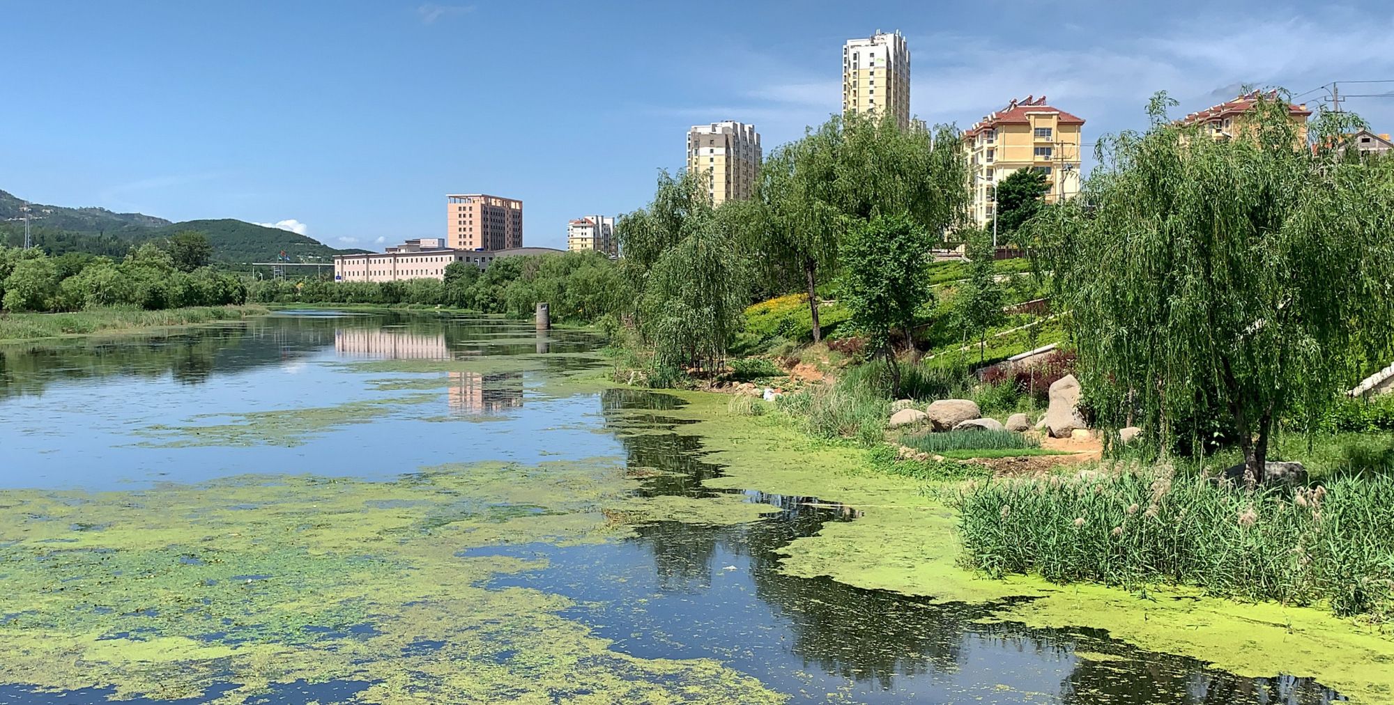 大美!威海凤凰湖湿地公园