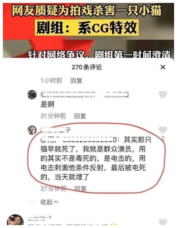 《当家主母》风波升级？群演爆料猫已过世，电击致死当天就埋了休闲区蓝鸢梦想 - Www.slyday.coM