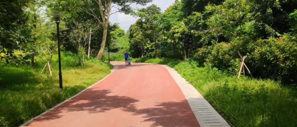 正文  深圳的石岩镇有一个很大的水库,而且水库有一条很长的绿道环绕