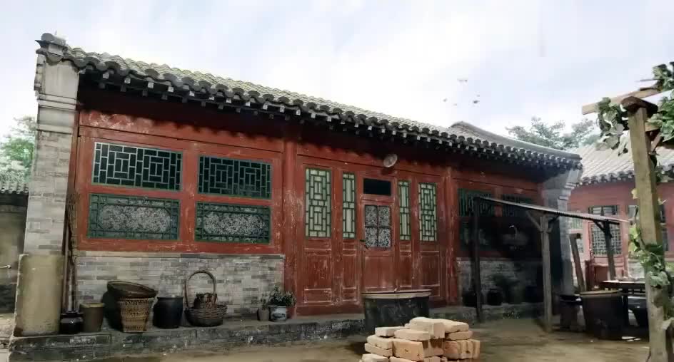 情满四合院徐大茂为了京茹要把娄晓娥扫地出门