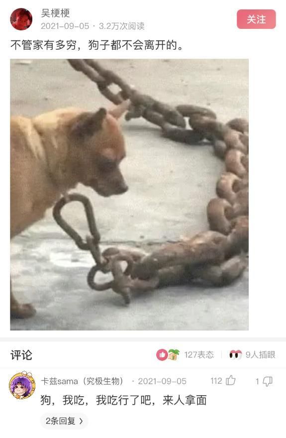 轻松一刻:为什么会有人去黑李小龙?休闲区蓝鸢梦想 - Www.slyday.coM 轻松一刻:为什么会有人去黑李小龙?休闲区蓝鸢梦想 - Www.slyday.coM