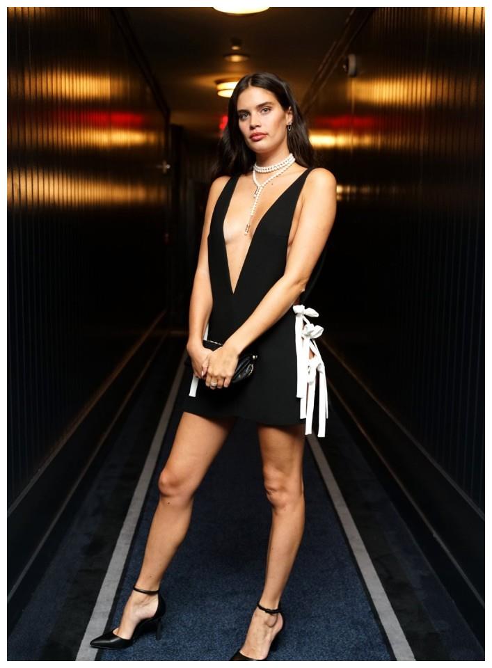 美女图——维密天使莎拉·桑帕约