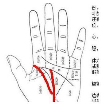 一来财二来福的三大手相特征,像是一个聚宝盆,最能旺夫持家