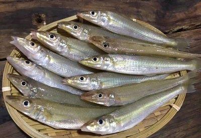 "炸梭子鱼"的小秘诀,个个外焦里嫩,色泽金黄,非常的诱人