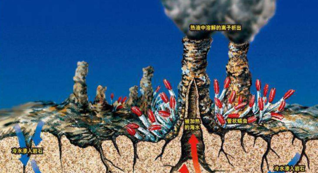 的环境千奇百态,在我们认为无法生存的超高温环境中也有生物的存在