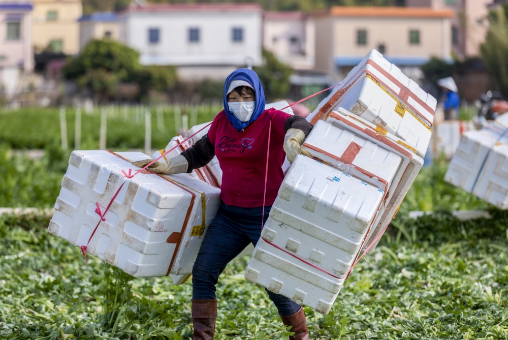 《戴口罩的日子》摄影交流展开幕:影像见证平民百姓抗疫生活百态